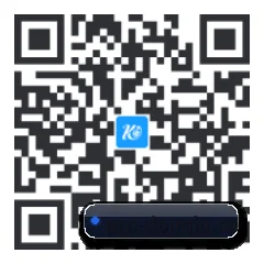 系统版 iOS 二维码